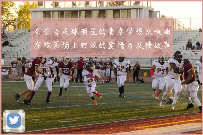 奈奈与足球明星的青春梦想交响曲在绿茵场上绽放的爱情与友情故事
