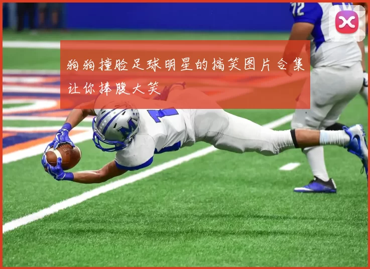 狗狗撞脸足球明星的搞笑图片合集让你捧腹大笑