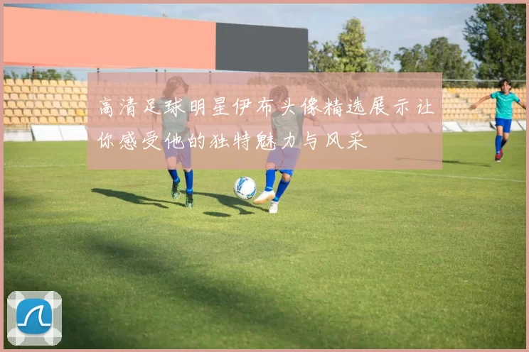 高清足球明星伊布头像精选展示让你感受他的独特魅力与风采