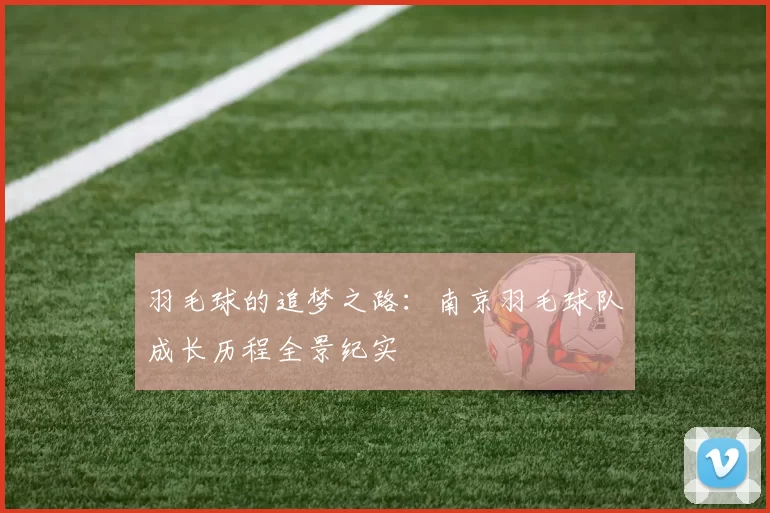 羽毛球的追梦之路：南京羽毛球队成长历程全景纪实