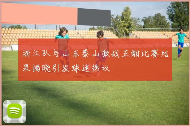 浙江队与山东泰山激战正酣比赛结果揭晓引发球迷热议