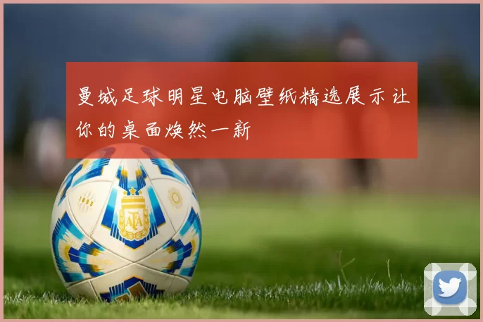 曼城足球明星电脑壁纸精选展示让你的桌面焕然一新