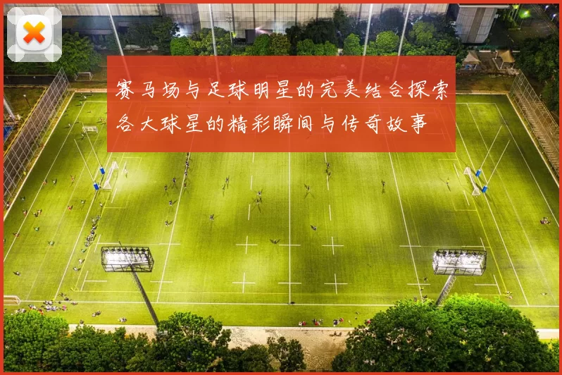 赛马场与足球明星的完美结合探索各大球星的精彩瞬间与传奇故事