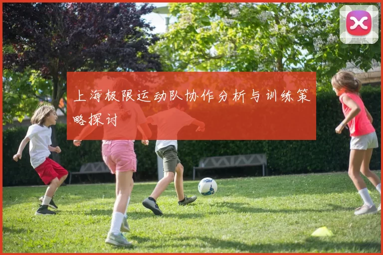 上海极限运动队协作分析与训练策略探讨